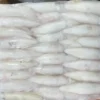 mực 8-9
