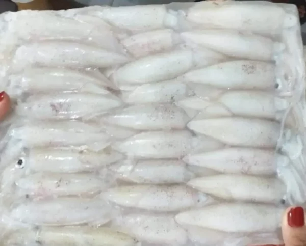 mực 8-9