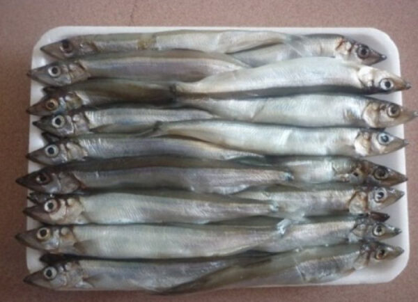 Cá trứng NaUy - Hải sản T-food