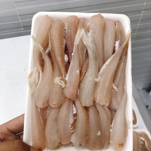 cá đùi gà - Hải sản T-food
