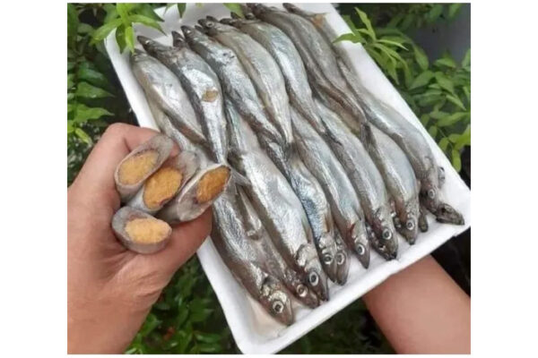 CÁ TRỨNG - Hình ảnh 3