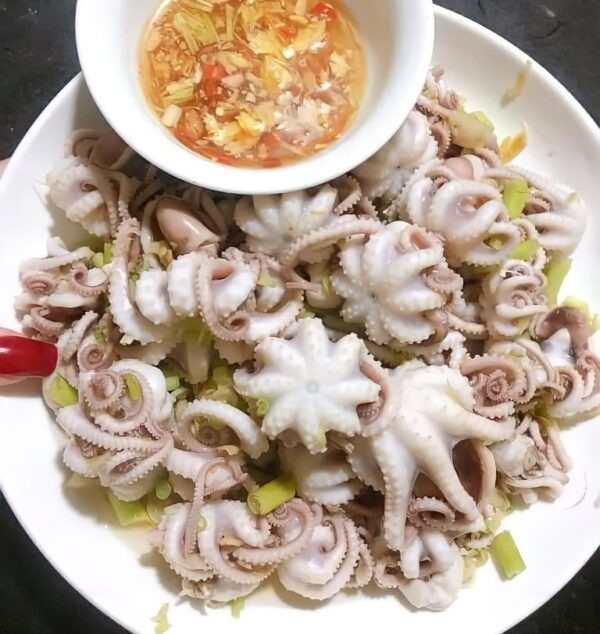 Bạch tuộc sữa - Hải sản T-Food