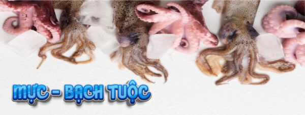 banner-hai-san-tfood-muc-bach-tuoc