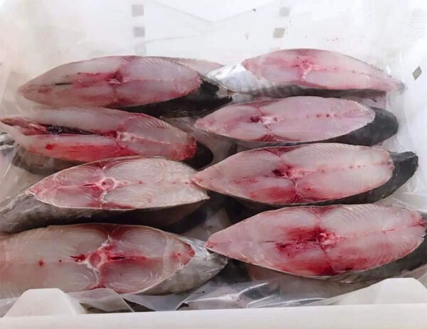 Cá thu phấn