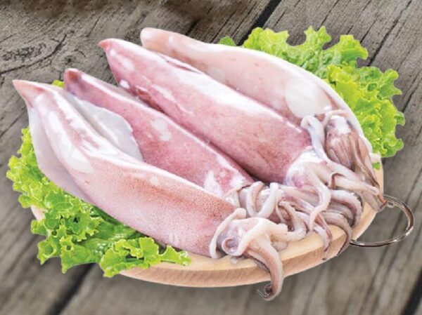 mực ống câu
