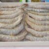 Tôm thẻ size 20 con/khay