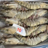 Tôm sú Size 10 con/khay
