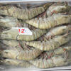 Tôm sú size 12 con/khay
