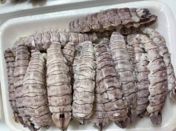 nõn bề bề size nhỡ 100 - 120 nõn /kg