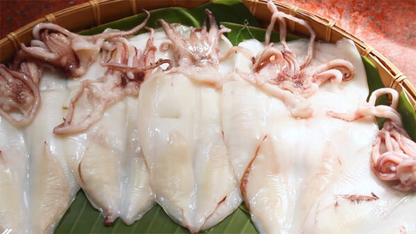 mực 1 nắng cô tô